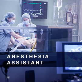Anesthesia Assistant
