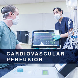 Cardiovascular Perfusion