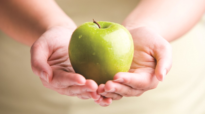 Two hands holding an apple, promoting Continuing Education Diabetes Program.