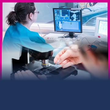 A student looking at a CT scan image, another student is examining a slide under a microscope.