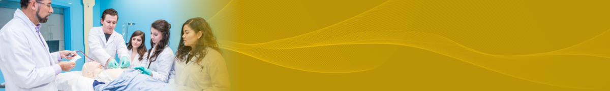 Extraordinary academic experience banner