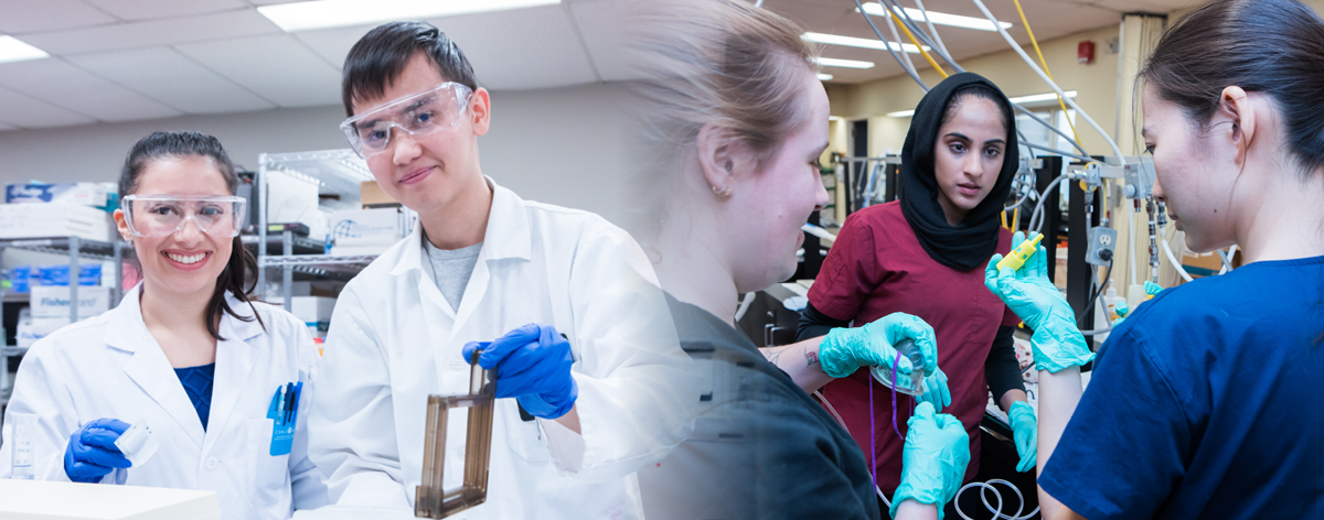 Impact Report Banner