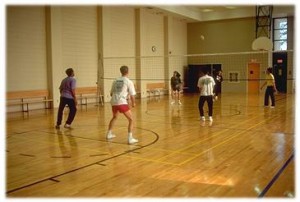 Michener volleyball court