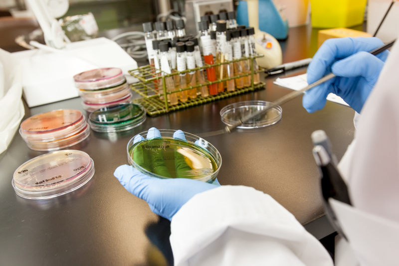 Student holding petri dish in lab