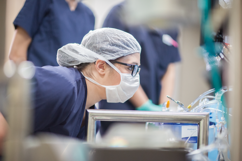 Cardiovascular Perfusion student at The Michener Institute during cardiac surgery simulation