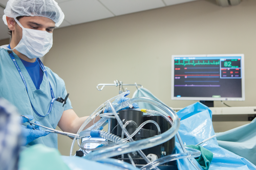 Cardiovascular Perfusion at The Michener Institute - Cardiac surgery resident during simulation workshop