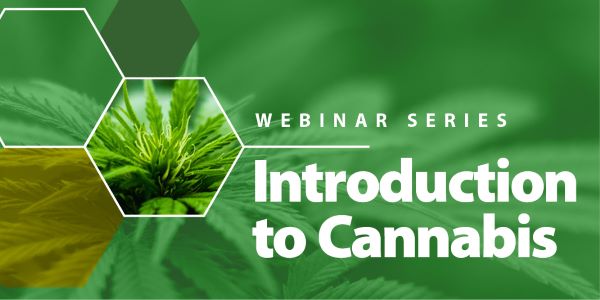 Introduction to Cannabis course banner