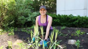Woman working in the Indigenous healing garden at Michener