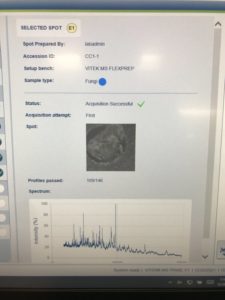 Matrix assisted laser desorption ionization – time of flight mass spectrometry instrument analysis screen