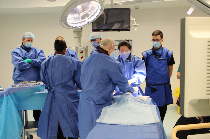 Orthopedic surgery residents perform surgery on a cadaver ankle while Radiological Technology students watch