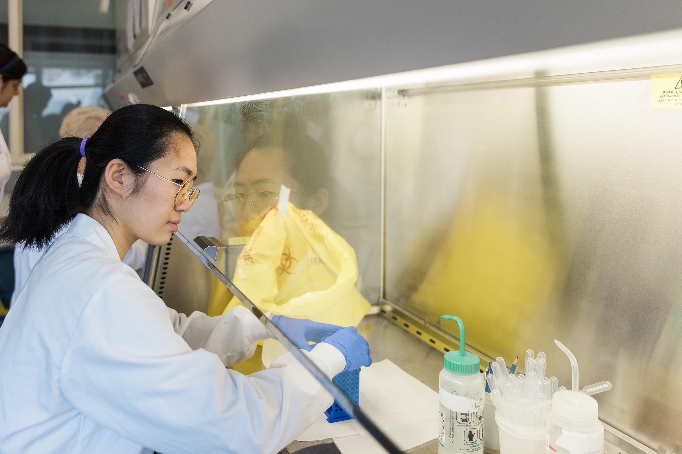 A scientist in a lab coat works at a biosafety cabinet with lab equipment and a yellow biohazard bag.