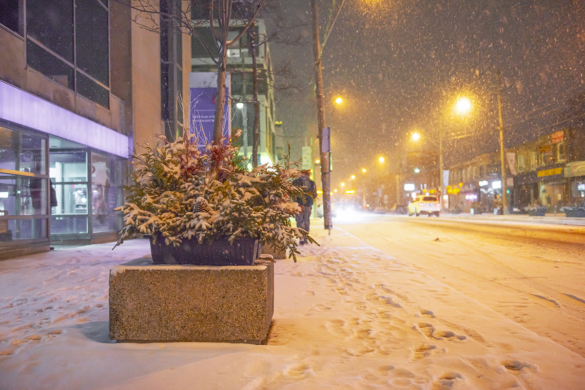 Toronto Avenue in the evening in winter when it snows