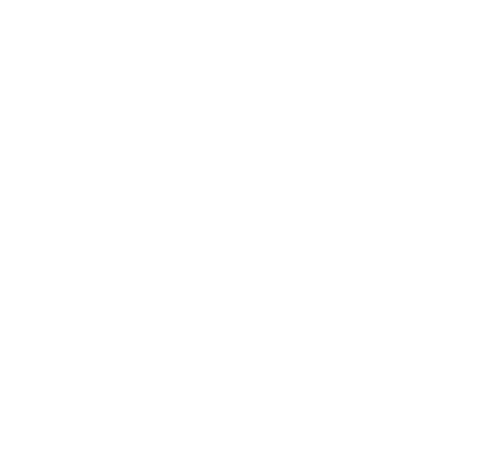 Annual Review Icon