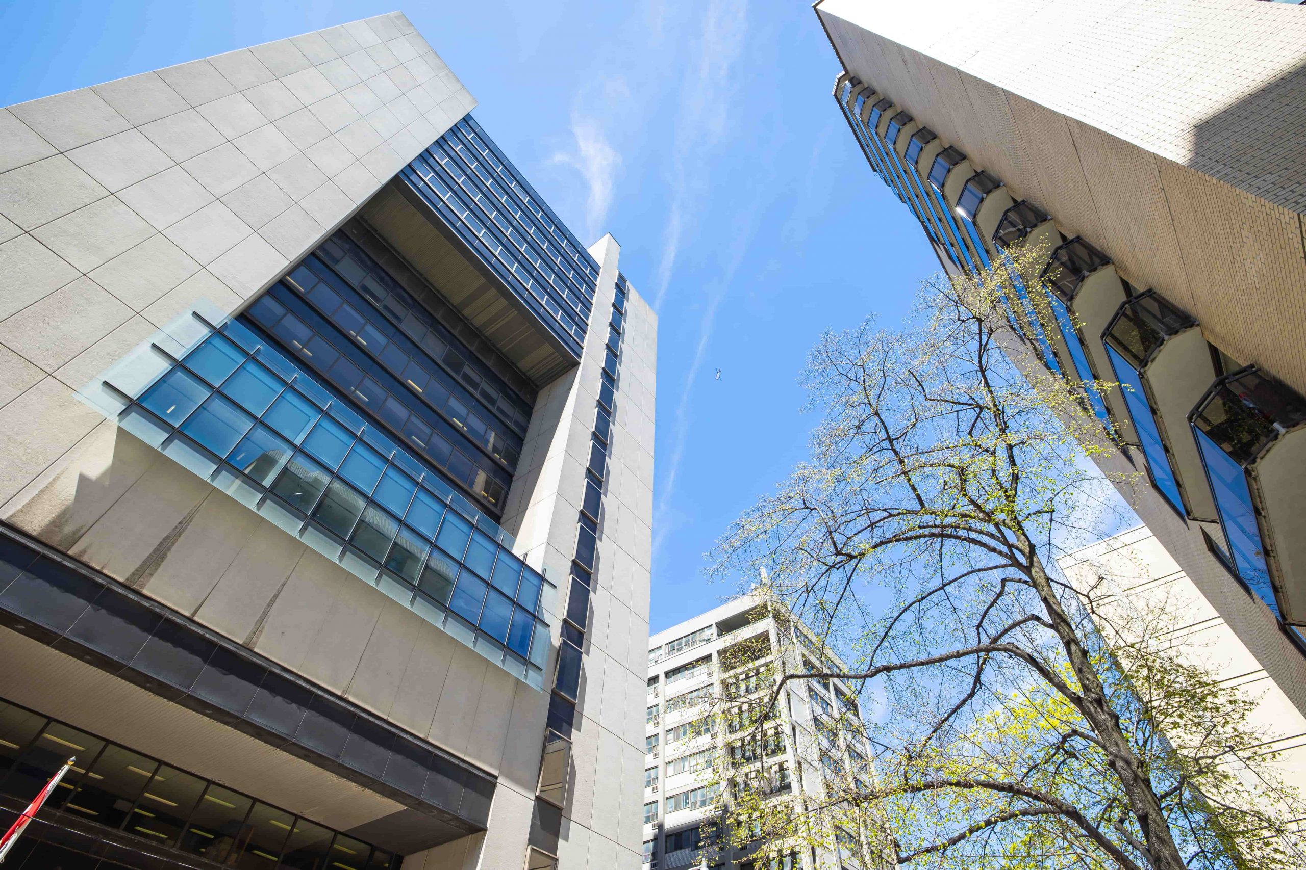 Tall modern office buildings and a tree are seen from a low angle against a bright blue sky with scattered clouds.